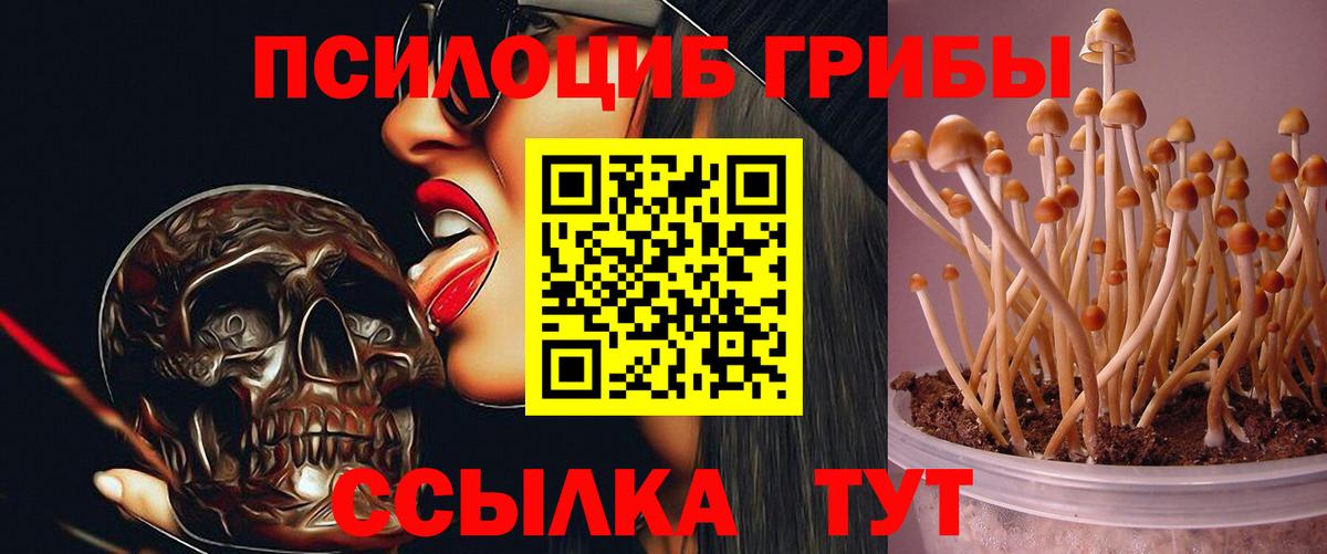 Галлюциногенные грибы MAGIC MUSHROOMS  Вход с VPN  Сургут 
